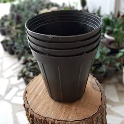 تصویر 2 از خرید گلدان های پلاستیکی با مزایای ساختاری و نگهداری گیاه