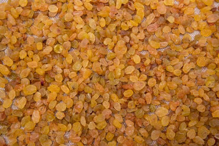 تصویر 1 از خرید و قیمت کشمش آفتابی شیرین تازه +  فروش ویژه