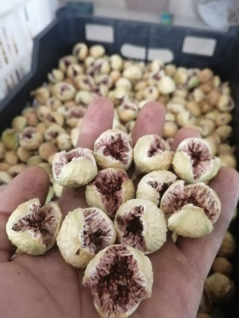 فروش عمده انجیر سوپر ممتاز درجه یک ویژه صادراتی