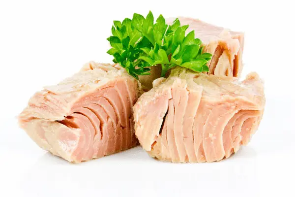 خرید و قیمت تن ماهی شویدی + فروش عمده