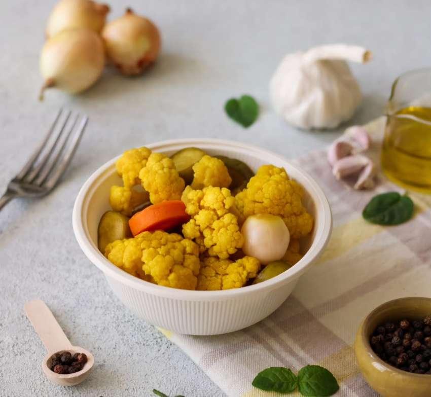 پخش عمده ظروف گیاهی + قیمت کف بازار