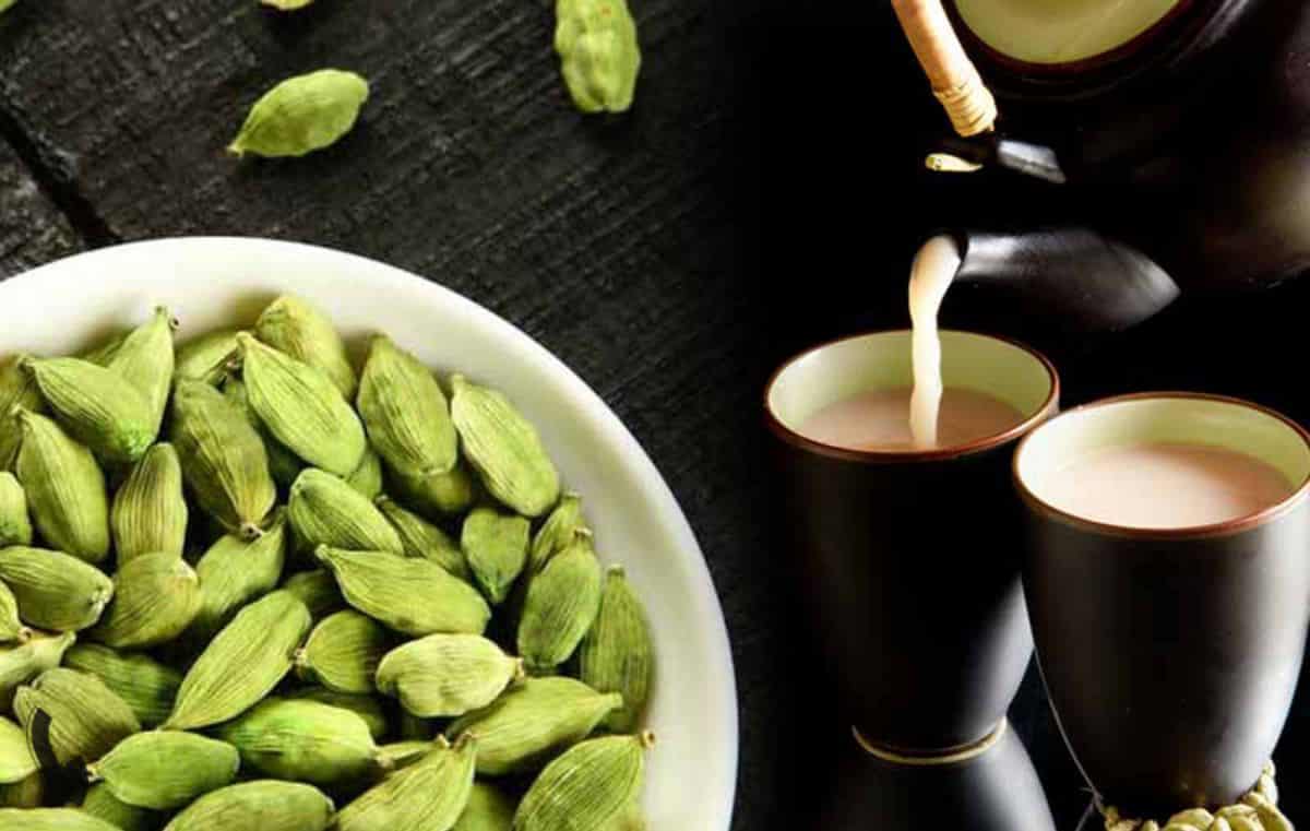 تصویر 2 از خرید چای هل + قیمت فروش استثنایی