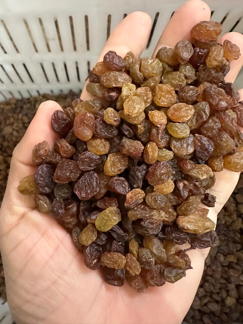 قیمت خرید بازار کشمش تیزابی در فارس + فروش ویژه