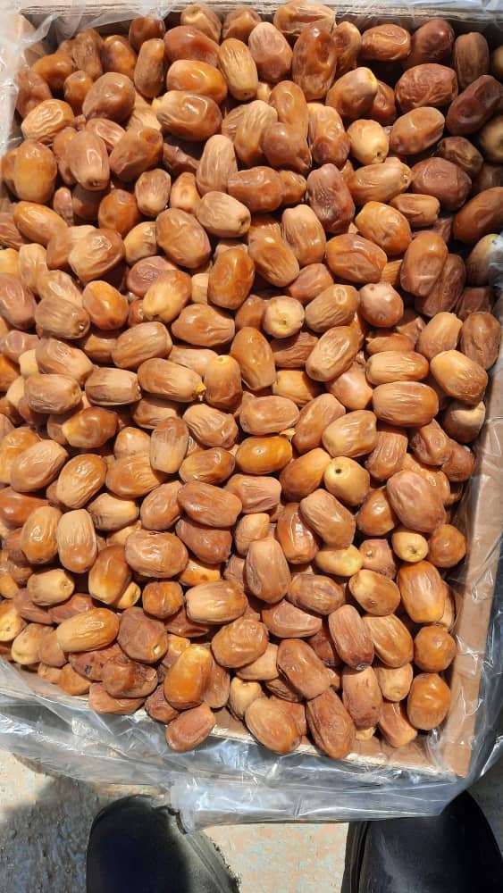 تصویر 1 از قیمت روز خرمای زاهدی + خرید