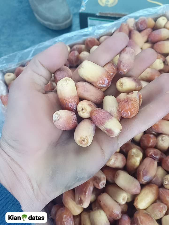 تصویر 2 از قیمت عمده خرما زاهدی درجه ۱ پشت کوه