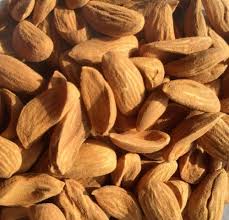 تصویر 1 از فروش بادام مامایی درجه یک + طعم اصیل