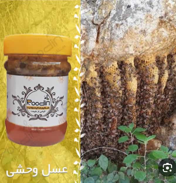 تصویر 2 از فروش پر طرفدار عسل وحشی + قیمت روز