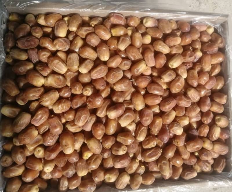 قیمت خرما زاهدی درجه یک + کیفیت صادراتی