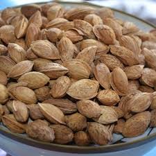 تصویر 2 از فروش بادام سنگی با تحویل در محل