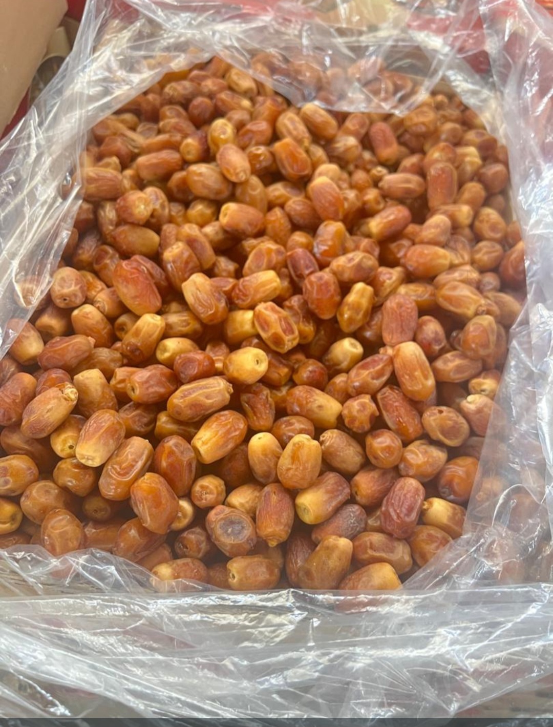 خرما زاهدی صادراتی