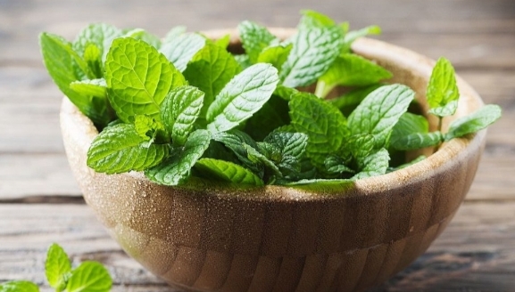 تصویر 1 از عرق نعنا سنگین اعلا + فروش استثنایی