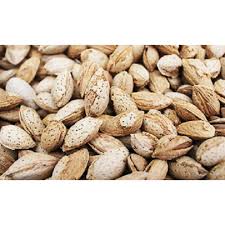تصویر 2 از فروش استثنایی بادام کاغذی تازه برداشت شده + طعم شیرین و پوست نازک