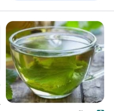 تصویر 2 از عرق نعنا چهل عیار شیشه ای + فروش با صرفه