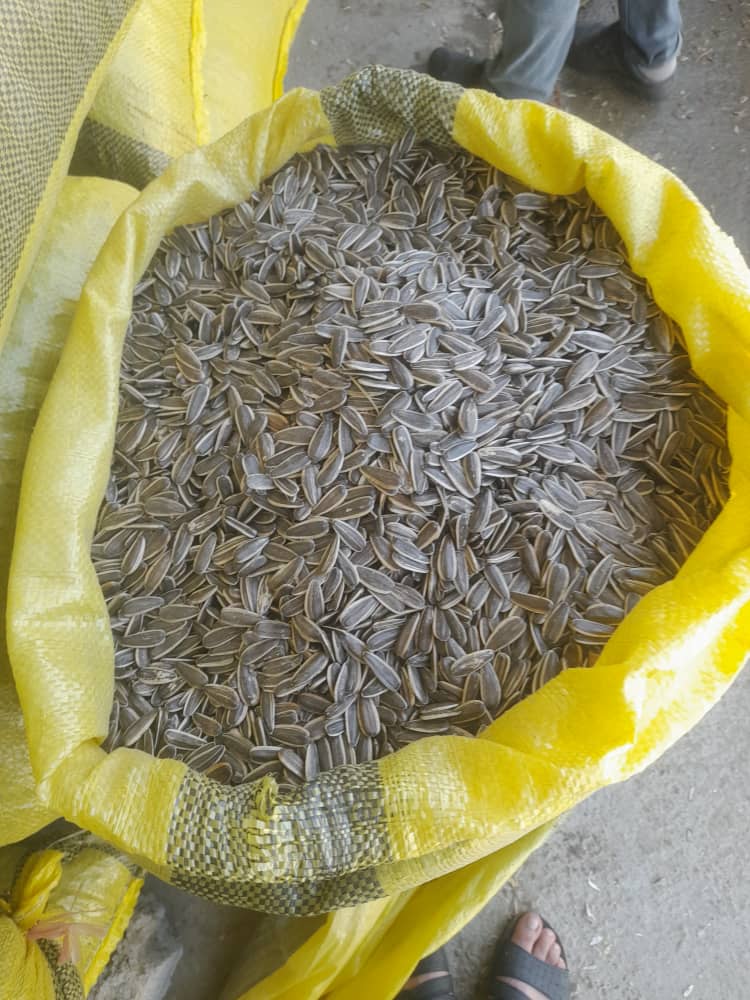 تصویر 2 از فروش انواع تخمک آفتابگردان در شیراز