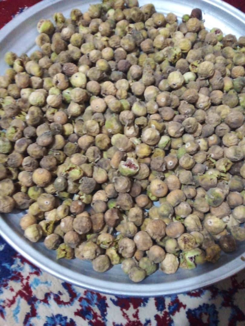 تصویر 1 از خرید به صرفه انجیر ضایعاتی درجه 2 مستقیم از باغدار