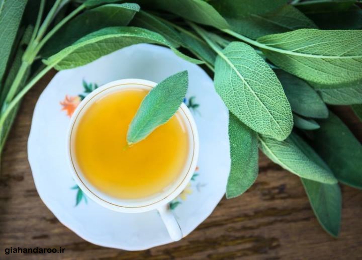 تصویر 3 از فروش ویژه مریم‌ گلی بحال خود + کیفیت طبیعی و عطر درمانی بی‌ نظیر