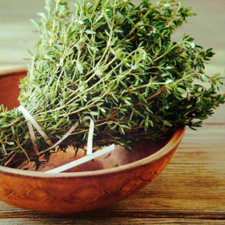 تصویر 2 از خرید و فروش عمده آویشن باغی بحال خود