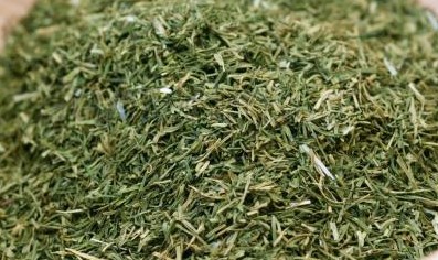 تصویر 1 از خرید و فروش عمده آویشن باغی بحال خود