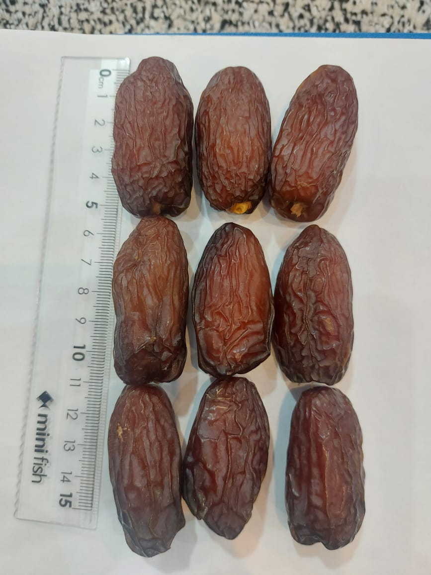تصویر 1 از قیمت خرما پیارم حاجی آباد درجه یک