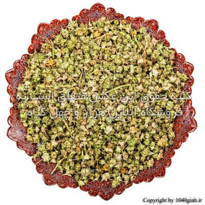 تصویر 1 از خرید و فروش عمده دانه گیاه خارخاسک + قیمت مناسب