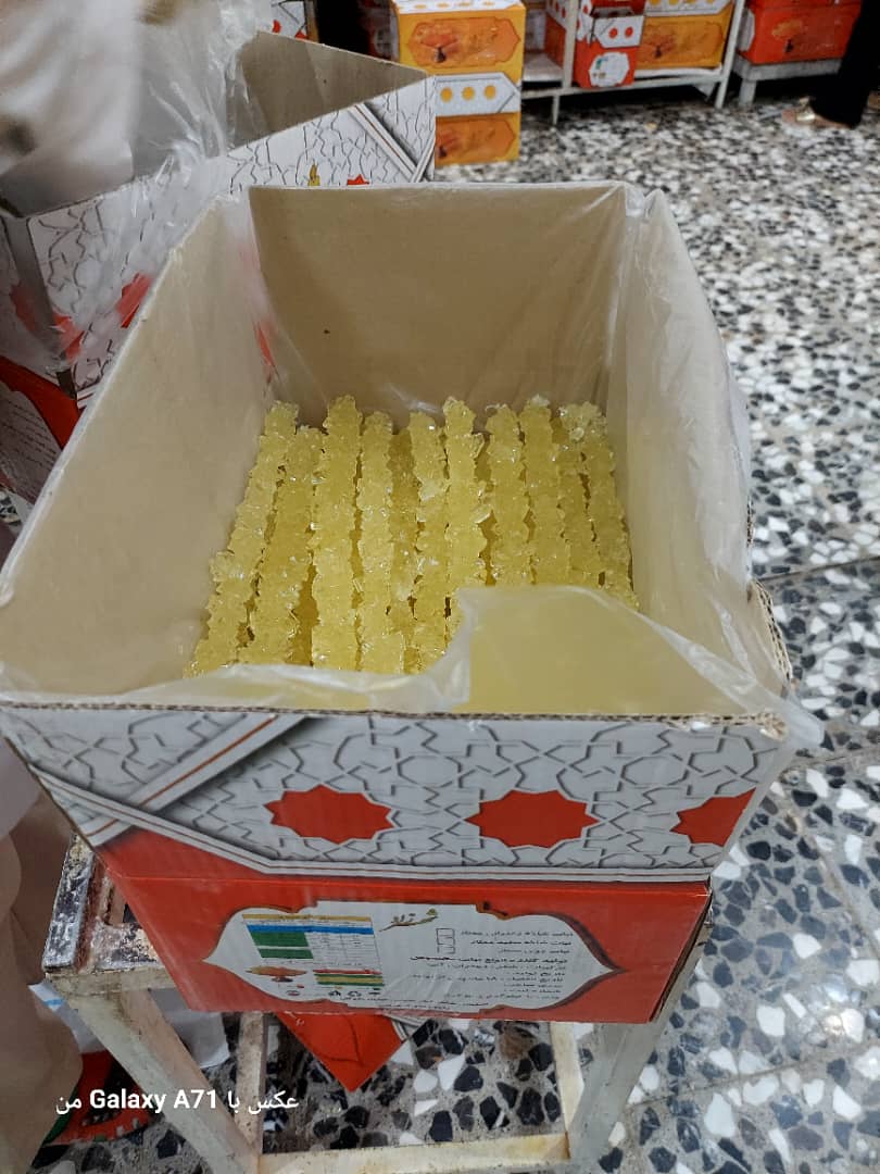 تصویر 1 از فروش عمده نبات شاخه ای زرد