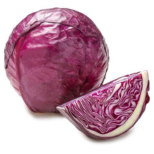 فروش ویژه کلم قرمز دزفول + بهترین قیمت