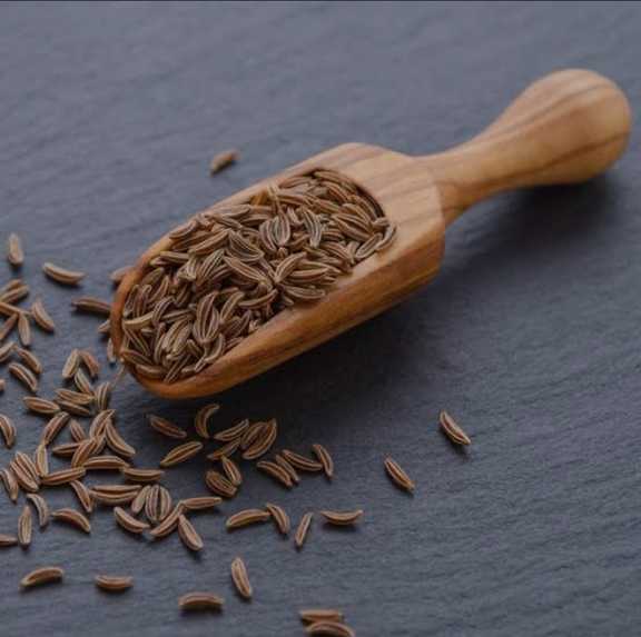 تصویر 2 از زیره کوهی اعلا دست چین شده – مخصوص مصارف دارویی و گیاهی