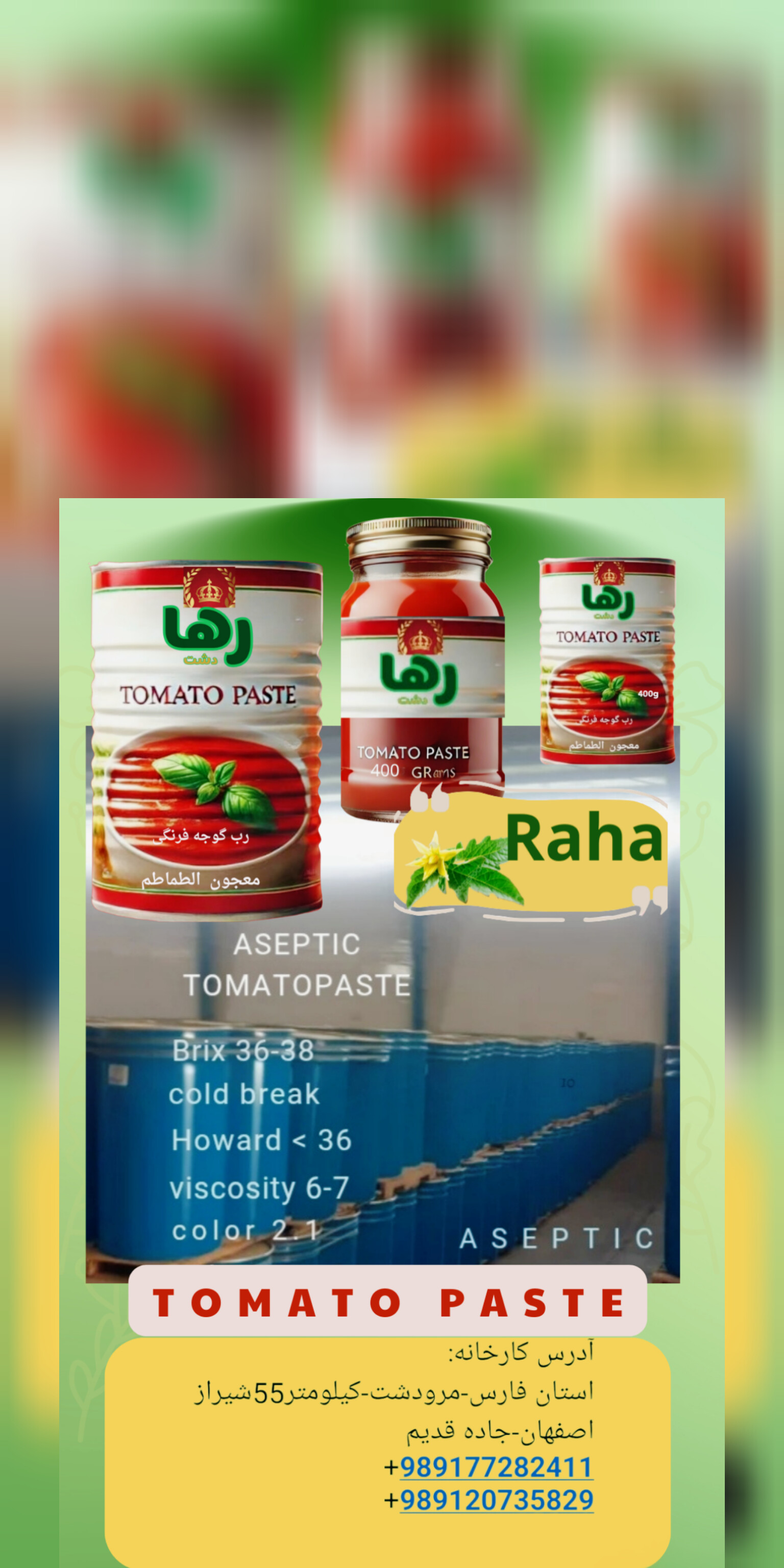 رب گوجه ۴۰۰ گرمی