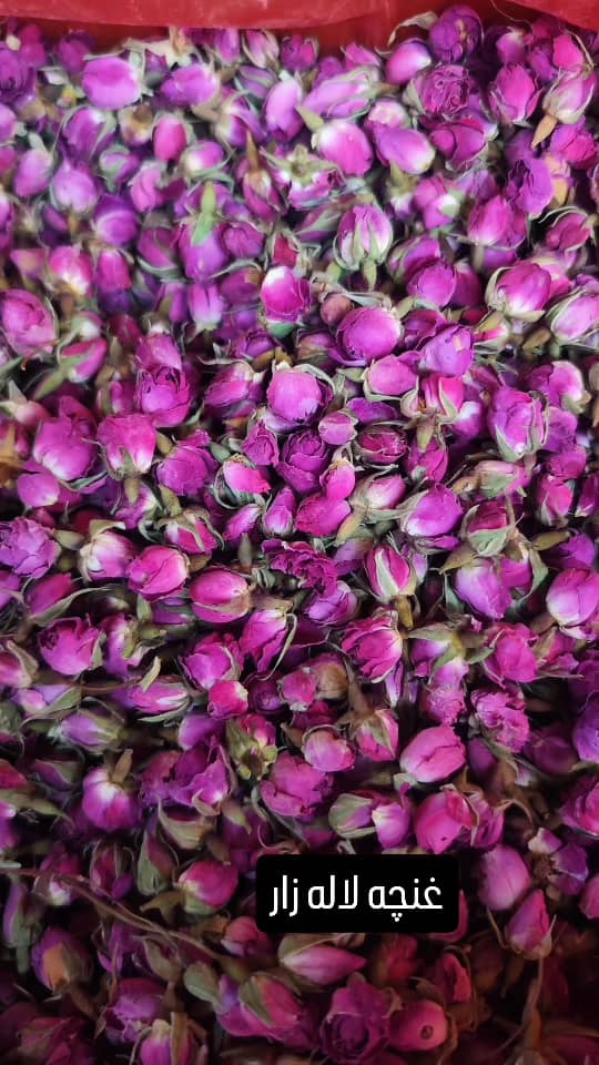 قیمت خرید روزانه غنچه گل محمدی + کیفیت اعلا