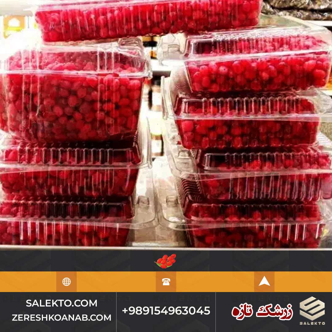 زرشک تازه دان شده قائنات بدون مواد افزودنی و بسته‌ بندی پاکتی + قیمت استثنائی