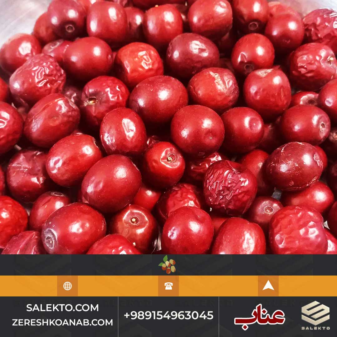 تصویر 2 از عناب امسالی قائنات درجه یک با خواص دارویی و تقویت‌ کننده سیستم ایمنی + فروش فوق العاده