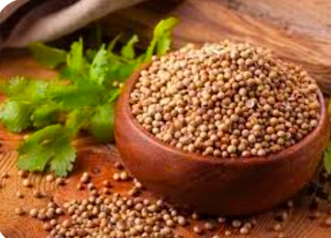 قیمت بذر گشنیز