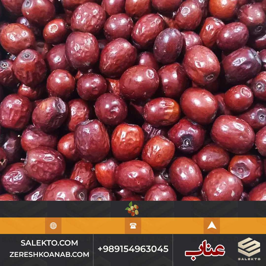 تصویر 3 از عناب امسالی بیرجند دانه‌ درشت با طعم شیرین و پوسته نازک + خرید ارزان
