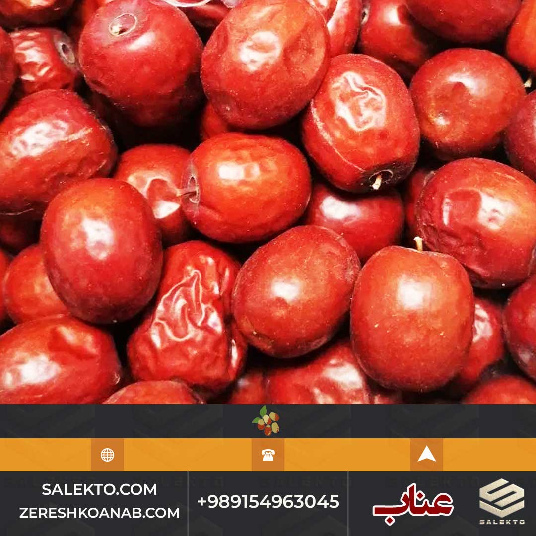 تصویر 4 از عناب امسالی بیرجند دانه‌ درشت با طعم شیرین و پوسته نازک + خرید ارزان