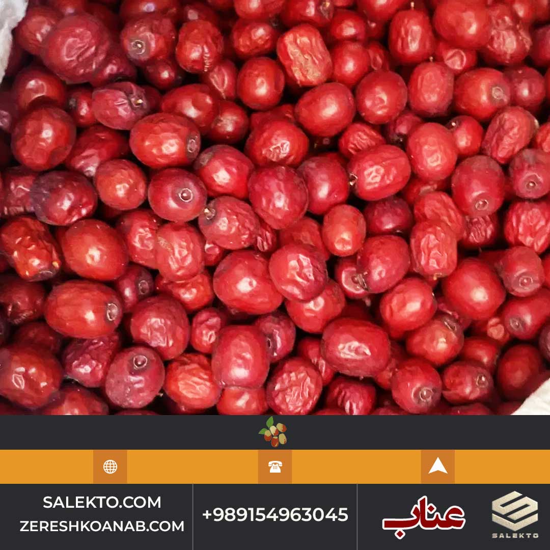 تصویر 3 از عناب امسالی قائنات ارگانیک سرشار از آنتی‌ اکسیدان و ویتامین C + قیمت استثنایی