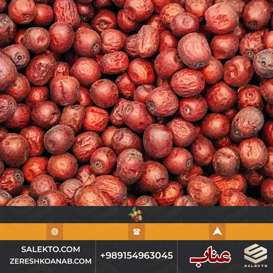 تصویر 1 از عناب امسالی خشک بیرجند با بافت نرم و خواص آرام‌ بخش + فروش ویژه