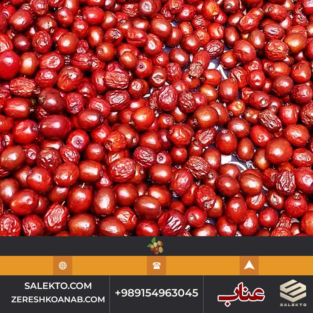 تصویر 2 از عناب امسالی خشک بیرجند با بافت نرم و خواص آرام‌ بخش + فروش ویژه