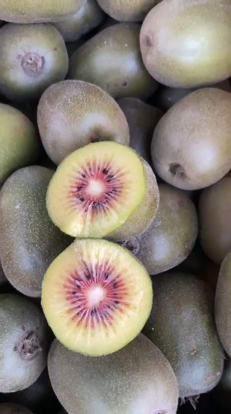 تصویر 1 از کیوی توسرخ ممتاز صادراتی با کیفیت بالا و ماندگاری طولانی