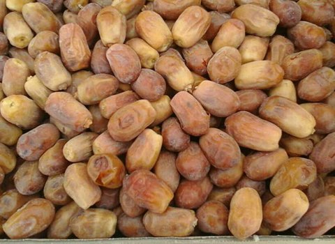 تصویر 1 از قیمت خرید خرما زاهدی بوشهر عمده به صرفه و ارزان