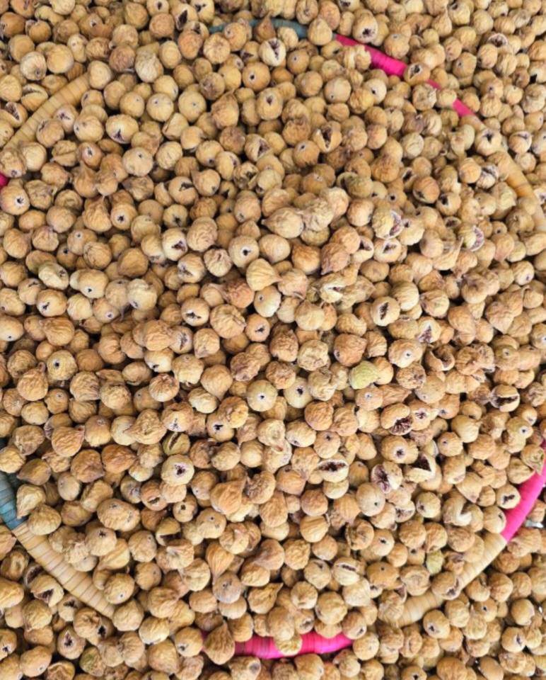 فروش انجیر صد یک غنچه مخلوط + متوسط دستچین