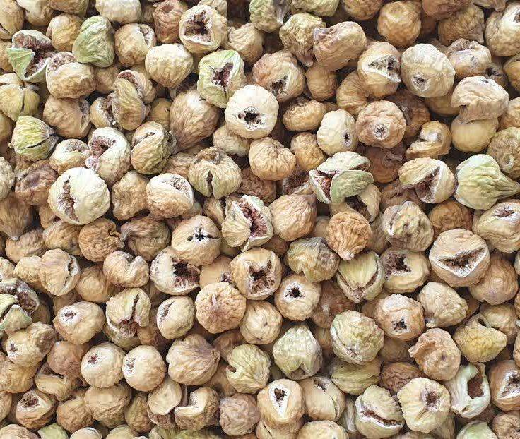 خرید انجیر خشک صادراتی + کاملا ارگانیک