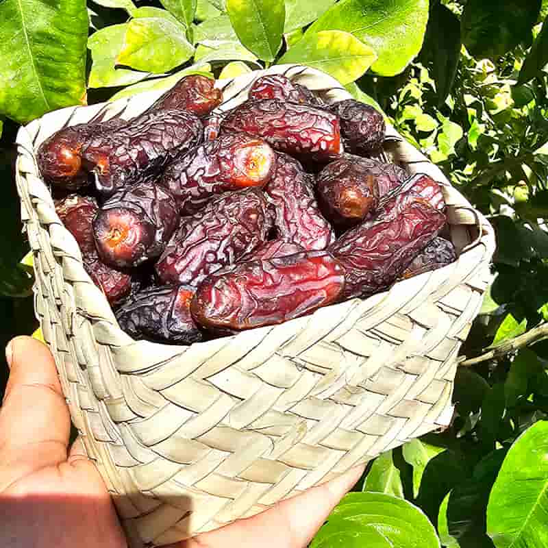 تصویر 3 از قیمت خرما پیارم درجه یک + خرید باور نکردنی