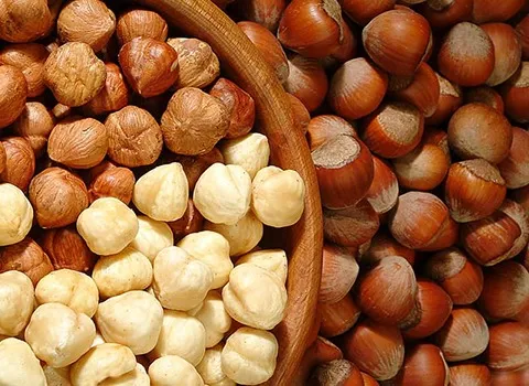 تصویر 2 از قیمت با کیفیت ارزان فندق بو داده نمکی + خرید عمده