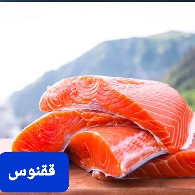تصویر 5 از خرید عمده و مناسب ماهی قزل آلا + سالمون