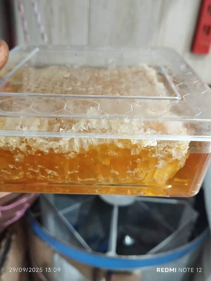 تصویر 5 از خرید بی دردسر عسل ساشه ای + قیمت به صرفه