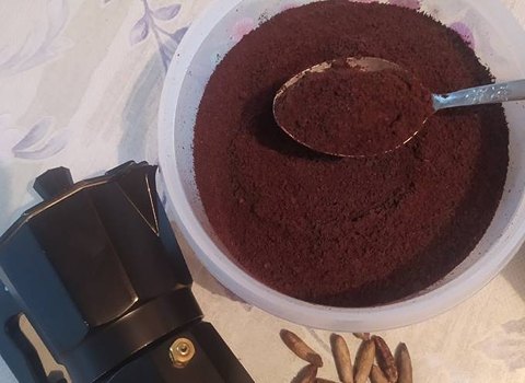 تصویر 1 از خرید فروش انواع پودر هسته خرما قهوه اصفهان بهترین کیفیت عمده