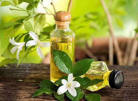 تصویر 3 از خرید و فروش عرق بیدمشک اعلا با شرایط فوق العاده