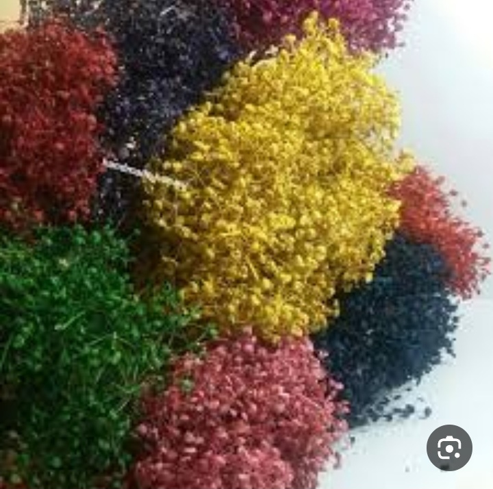 تصویر 5 از فروش گل خشک عمده + با کیفیت و قیمت مناسب