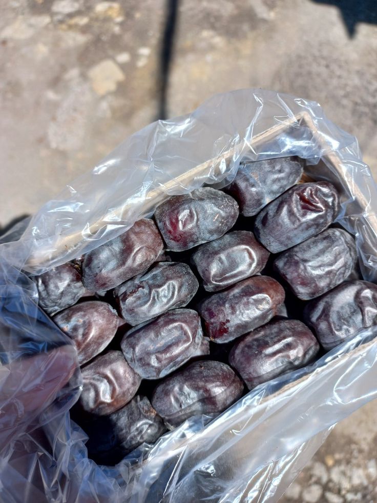 تصویر 2 از خرید فروش انواع خرما مضافتی کرمان صادراتی