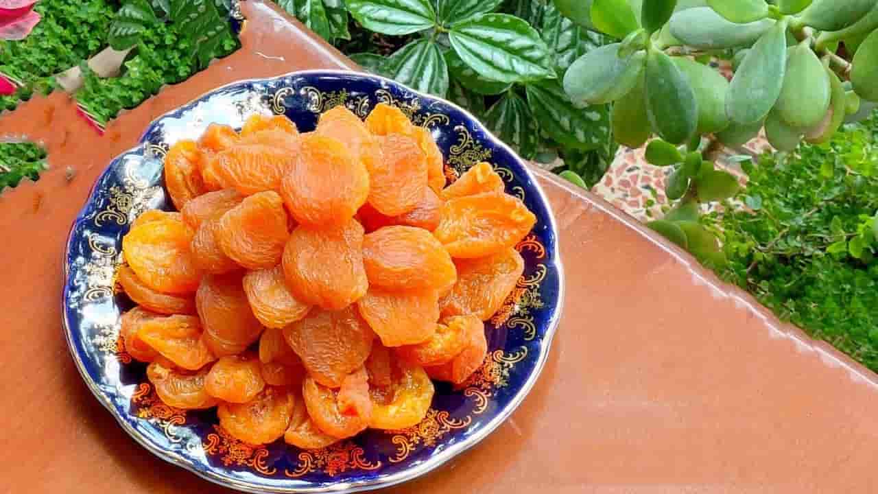 تصویر 4 از فروش برگه قیسی خشک + قیمت خرید به صرفه
